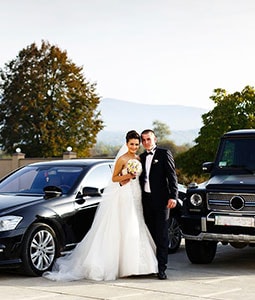 Wedding Transfers